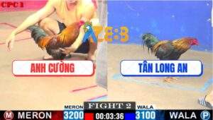 Trận 2 CPC1 10/6/2025 - Anh Cường Và Anh Tân Long An