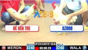 Trận 24 CPC1 7/6/2025 - Xóm Gà AZ Và Anh Bé Bến Tre Không Phân Thắng Bại