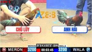 Trận 28 CPC1 7/6/2025 - Mẻ Điều Hiệu Tính Ga King Sút Đối Thủ Trào Đờm