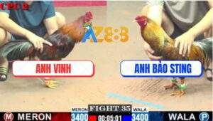 Trận 35 CPC2 1/6/2025 - Cú Lửa Anh Bảo Sting Bị Đá Ho Ra Sting