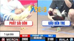 Trận 35 CPC3 11/5/2025 - Anh Gấu Bến Tre Lấy Trứng Chọi Đá Mất Xổ 500