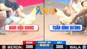 Trận 36 CPC3 11/5/2025 - Bướm Anh Tuấn Gồng Cứu Chủ Thành Công