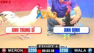 Trận 4 CPC1 5/6/2025 - Bướm Anh Trung Sỹ Đâm Điều Không Kịp Nhấc Chân