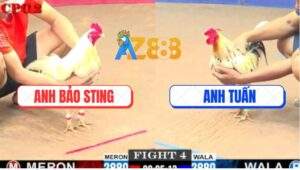 Trận 4 CPC2 6/6/2025 - Úa Hiệu Bảo Sting Trước Khi Tử Có Chân Cứu Chủ