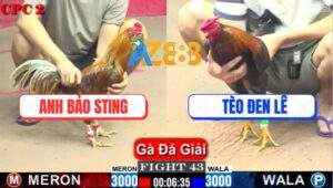 Trận 43 CPC2 1/6/2025 - Chúc Mừng Anh Bảo Sting Dành Ngôi Á Quân