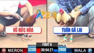 Trận 6 CPC3 8/6/2025 - Anh Vũ Đức Hòa Giao Lưu 200 Với Anh Tuấn Gà Lai