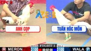 Trận 1 CPC2 11/7/2025 - Anh Tuấn Hóc Môn Mở Bát Gom Lúa Đầy Bồ