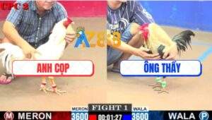 Trận 1 CPC2 23/7/2025 - Chuối Đen Chân Xanh Bể Pha Gồng Tang Cứu Chủ