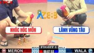 Trận 1 CPC2 2/7/2025 - Điều Cọp Anh Lành Bị Đá Bay Bồ Chỉ Tay Nước Đầu