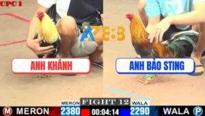 Trận 12 CPC1 7/7/2025 - Anh Bảo Sting Rớt Nài Với Anh Khánh