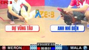 Trận 13 CPC2 4/7/2025 - Điều Cọp Anh Nhí Biện Đá 3 Chân Có Kết Quả