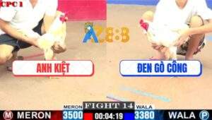 Trận 14 CPC1 8/7/2025 - Trọng Tài Chưa Xử Chủ Gà Xanh Đã Treo Cờ Trắng