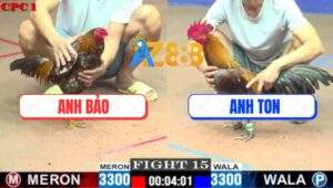 Trận 15 CPC1 17/7/2025 - Xám Chân Đen Anh Ton Lùa Đá 1 Hơi Có Kết Quả