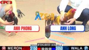 Trận 15 CPC2 30/7/2025 - Anh Long Hết Nhảy Khi Bị Anh Phong Phục Thù