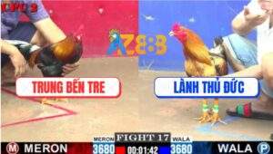 Trận 17 CPC2 11/7/2025 - Hai Con Cùng Dắt Tay Nhau Lên Thiên Đàng