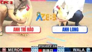 Trận 18 CPC2 30/7/2025 - Bướm Anh Long Ra Đòn Thần Tốc, 3 Đá Lụm Kem