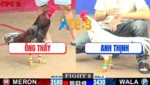 Trận 2 CPC2 11/7/2025 - Xám Điều Ông Thầy Đâm Bướm Sụm Tỳ Rụng Nụ