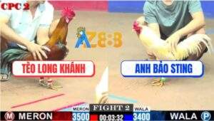 Trận 2 CPC2 20/7/2025 - Úa Hiệu Anh Bảo Sting Mai Độ Có Chân Cứu Chủ