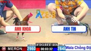 Trận 23 CPC1 8/7/2025 - Xám Điều Mặt Râu Anh Tin Lên Lớp Thành Công