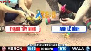 Trận 24 CPC1 7/7/2025 - Chuối Nhập Anh Bảo Sting Tinh Đâm Cựa Quá Tịch