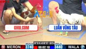 Trận 25 CPC1 5/7/2025 - Gà Xám GVUI.COM Nhấp Mấy Chân Gom Lúa Đầy Bồ