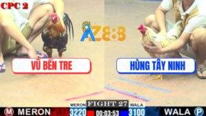 Trận 27 CPC2 4/7/2025 - Anh Vũ Bến Tre So Tài Với Anh Hùng Tây Ninh