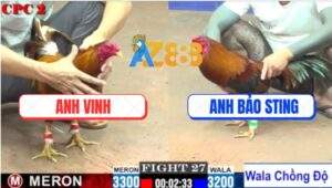 Trận 27 CPC2 9/7/2025 - Gà Điều Anh Bảo Lên 2 Bọ Khét Đá Gãy Cổ