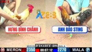 Trận 28 CPC1 7/7/2025 - Camelo 1 Đá Tiễn Điều Cọp Bảo Sting Lên Đường