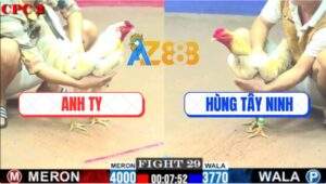 Trận 29 CPC2 4/7/2025 - Bướm Anh Ty Ngoại Cỡ Mà Đâm Không Rớt Chân