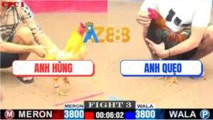 Trận 3 CPC1 10/7/2025 - Khét Anh Hùng Bị Đâm Nát Bét vẫn Gồng Cứu Chủ