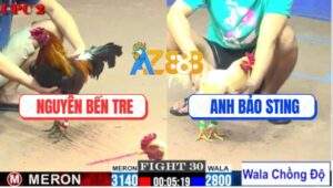 Trận 30 CPC2 27/7/2025 - Úa Hiệu Bảo Sting Kém 3 Chấm Lên 2 Thành Công