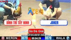 Trận 33 CPC1 10/7/2025 - Anh Bình Trí Tây Ninh Bị Gạt Giò Cay Đắng