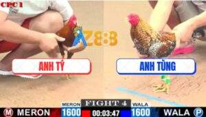 Trận 4 CPC1 21/7/2025 - Gà Khét Đá 1 Cước Tiễn Gà Cú Anh Tùng Về Vườn