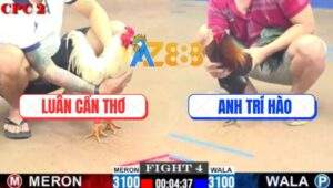 Trận 4 CPC2 4/7/2025 - Đám Bướm Anh Luân Cần Thơ Đâm Không Bỏ Chân Nào