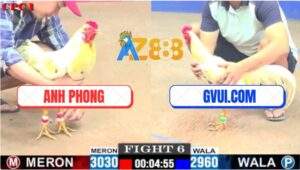 Trận 6 CPC1 3/7/2025 - Gà Bướm GVUI.COM Đụng Phải Cọp Bị Đá Bung Bồ