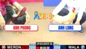 Trận 6 CPC2 30/7/2025 - Anh Long Nhảy Ăn Mừng Khi Bao Bồ Thành Công