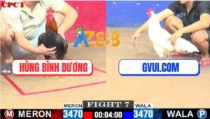 Trận 7 CPC1 24/7/2025 - Bướm Hiệu GVUI.COM Đâm Cây Nào Thấm Cây Đó