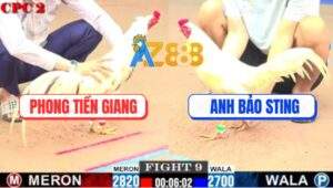 Trận 9 CPC2 9/7/2025 - Úa Mặt Râu Bảo Sting Nuốt Ói Lật Kèo Quá Hay