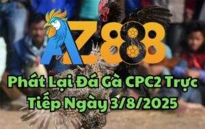 Phát Lại Đá Gà CPC2 Trực Tiếp Ngày 03/08/2025