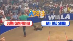 Trận 17 Bồ Gà TonHon 27/8/2025 - Anh Bảo Sting Và Anh Đuôn Campuchia
