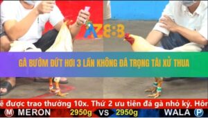 Trận 3 CPC5 24/8/2025 - 3 Lần Nằm Còn Hòa, 3 Lần Không Đá Lại Thua