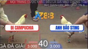 Trận 40 TonHon 27/8/2025 - Anh Bảo Sting Gặp Anh Đi Campuchia