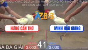 Trận 41 TonHon 27/8/2025 - Anh Hưng Cần Thơ Và Anh Minh Hậu Giang