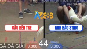 Trận 44 TonHon 27/8/2025 - Anh Bảo Sting Và Anh Gấu Bến Tre