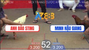 Trận 52 TonHon 27/8/2025 - Bướm Hiệu Bảo Sting Nuốt Ói Đá Xám La Làng