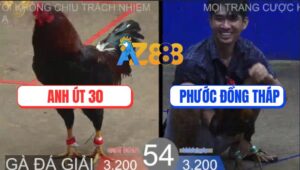 Trận 54 TonHon 27/8/2025 - Anh Bảo Sting Thả Giùm Hạ Anh Út 30