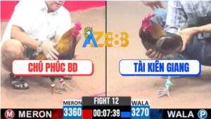 Trận 12 CPC3 5/8/2025 - Chú Phúc Đi Tong Hơn 2 Tỷ Khi Gặp Xám Chân Chì