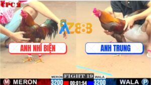 Trận 19 CPC2 6/8/2025 - Gà Anh Nhí Hay Vô Tay Bảo Sting Đá Như Búa Bổ