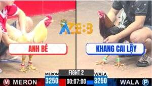 Trận 2 CPC3 5/8/2025 - Gà Úa Anh Bé Bao Bồ Gần Tỷ Bắt Gà Xin Thua