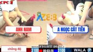 Trận 26 CPC2 3/8/2025 - Gà Điều Anh Nam Thi Lên Lớp Bị Đá Sặc Máu